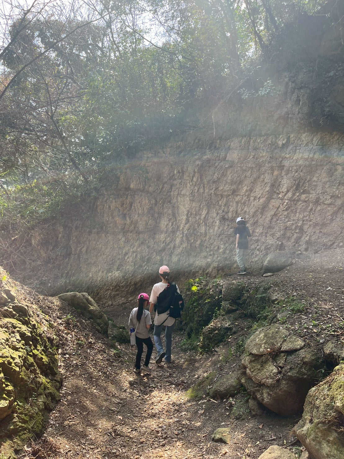 日本の都会で遊ぶ -鎌倉ネイチャーハイク-　 ︎対象年齢６歳以上