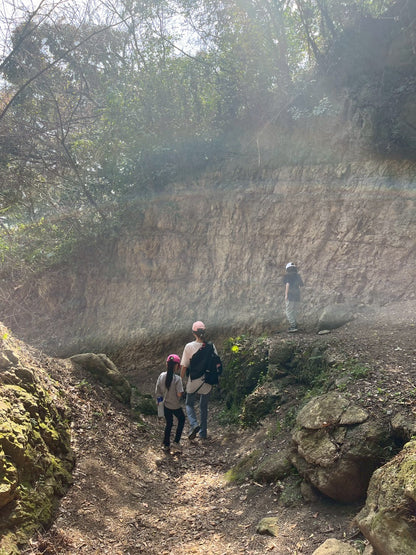 日本の都会で遊ぶ -鎌倉ネイチャーハイク-　 ︎対象年齢６歳以上
