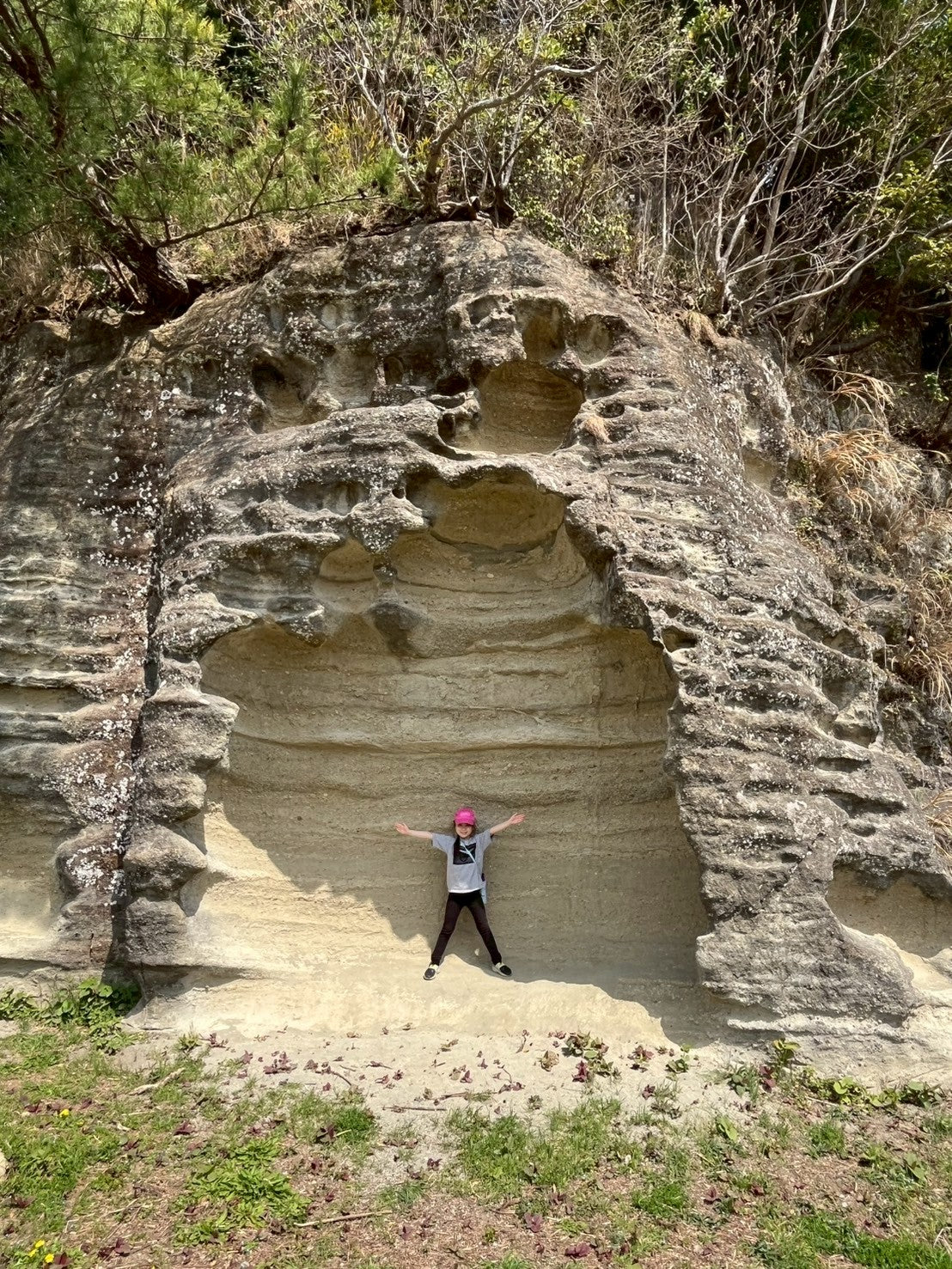 日本の都会で遊ぶ -鎌倉ネイチャーハイク-　 ︎対象年齢６歳以上