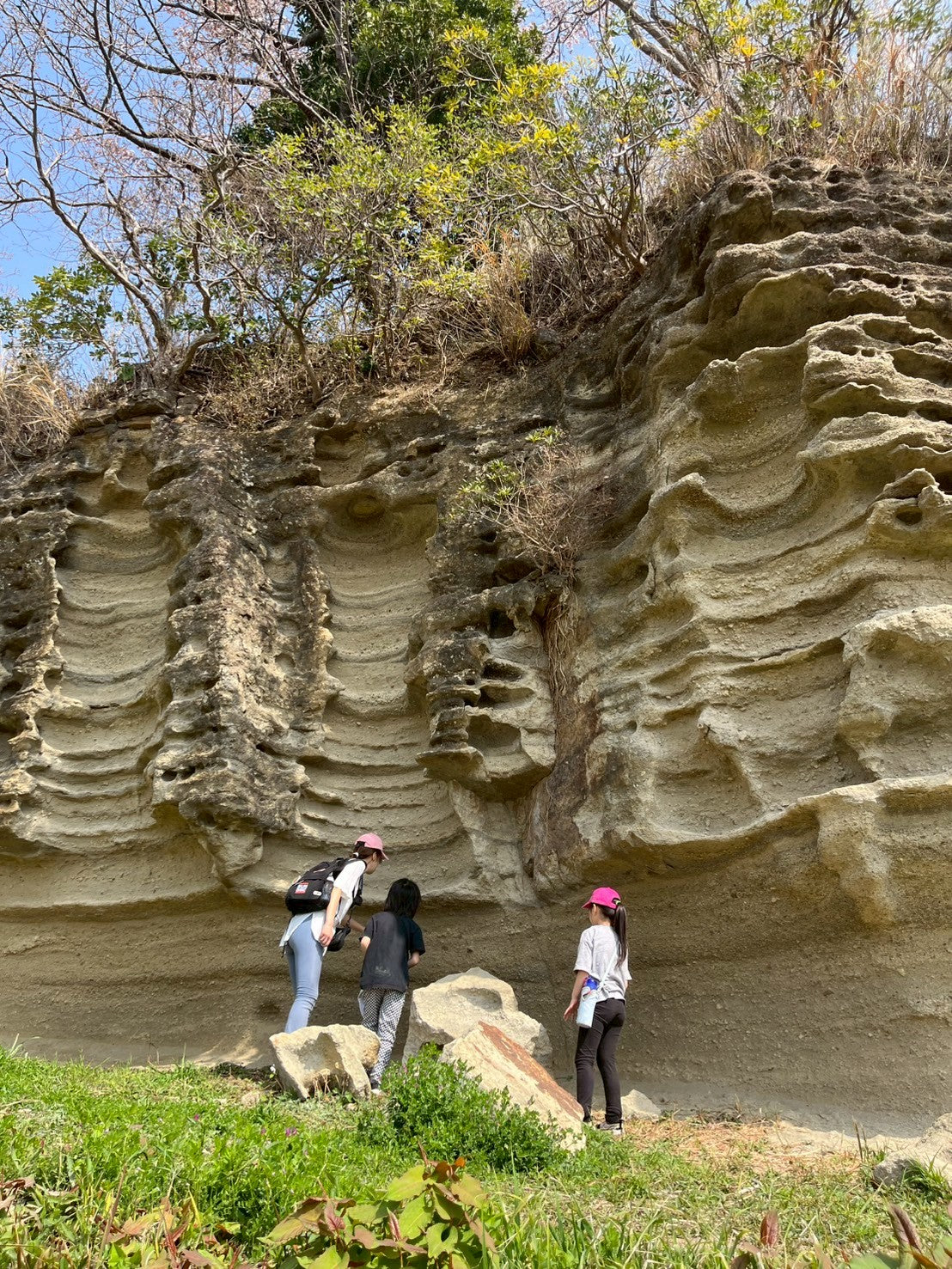 日本の都会で遊ぶ -鎌倉ネイチャーハイク-　 ︎対象年齢６歳以上
