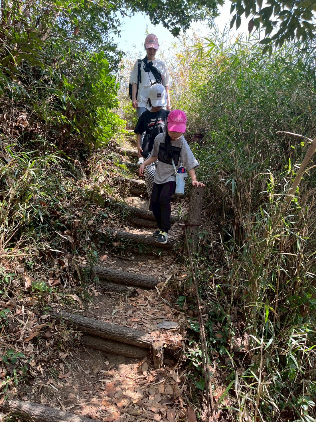 日本の都会で遊ぶ -鎌倉ネイチャーハイク-　 ︎対象年齢６歳以上