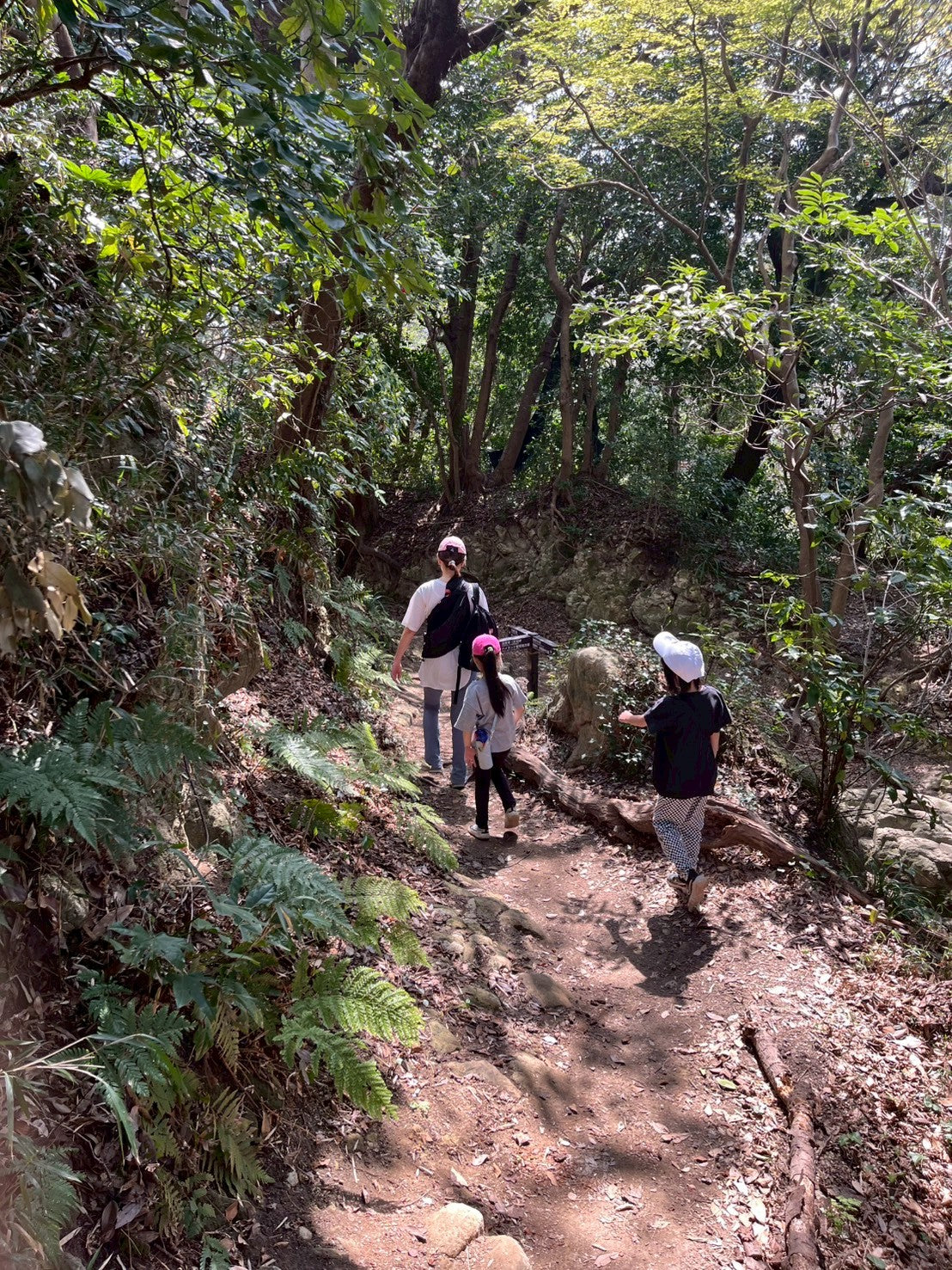 日本の都会で遊ぶ -鎌倉ネイチャーハイク-　 ︎対象年齢６歳以上