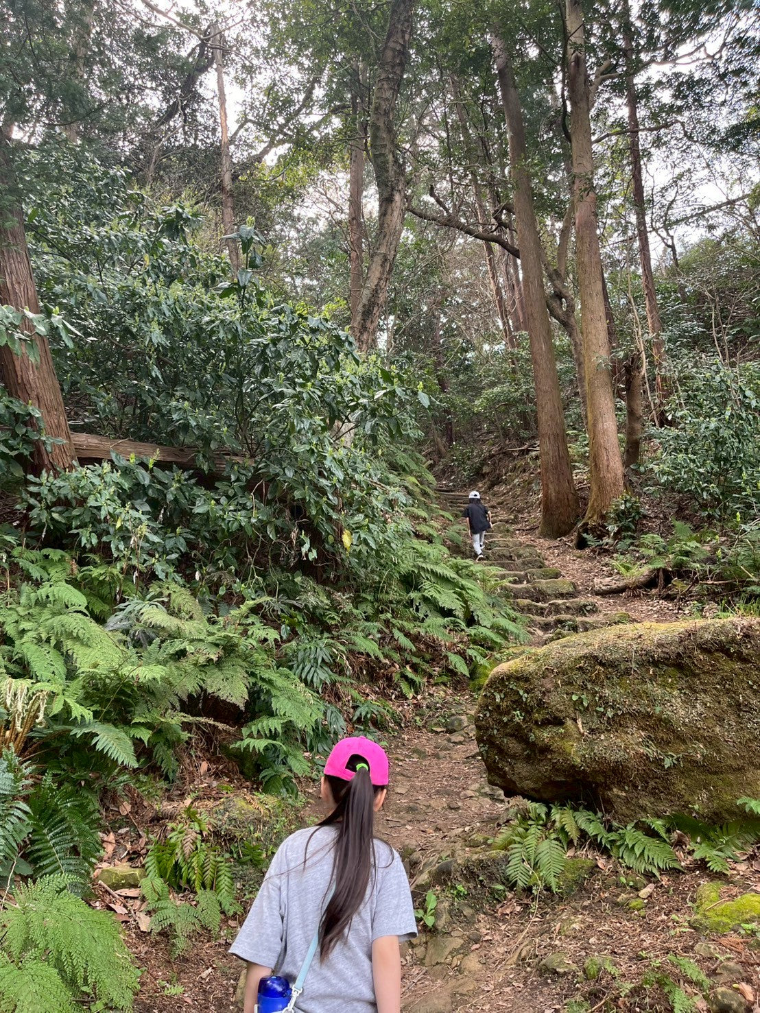 日本の都会で遊ぶ -鎌倉ネイチャーハイク-　 ︎対象年齢６歳以上