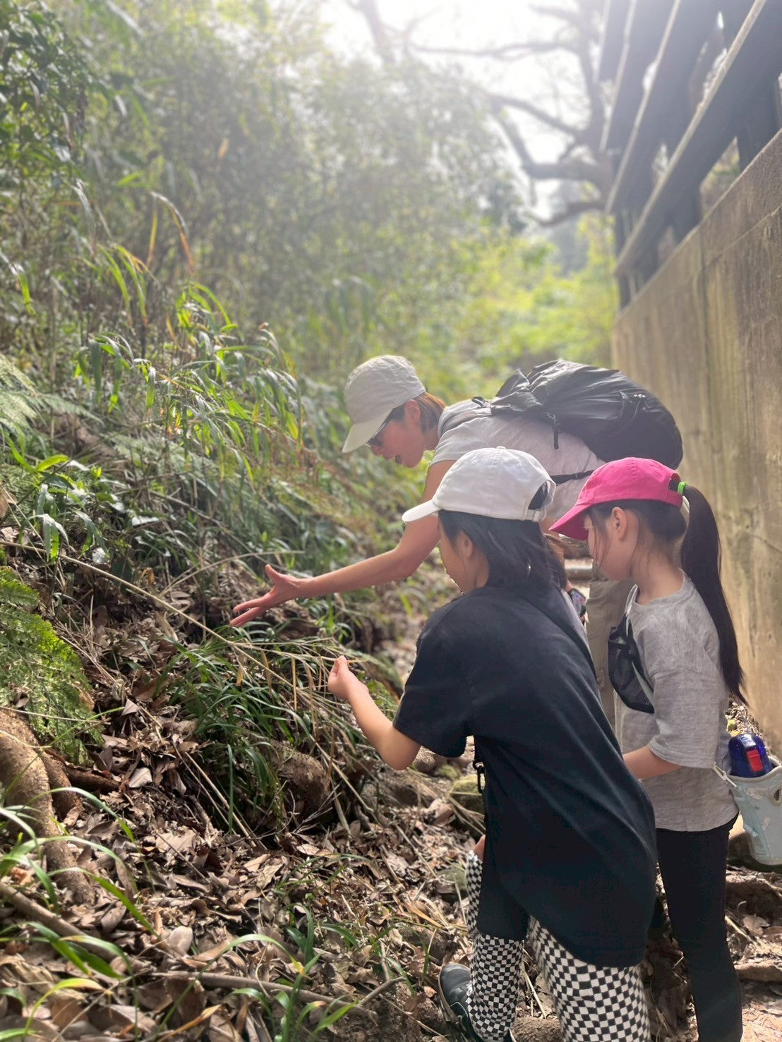 日本の都会で遊ぶ -鎌倉ネイチャーハイク-　 ︎対象年齢６歳以上