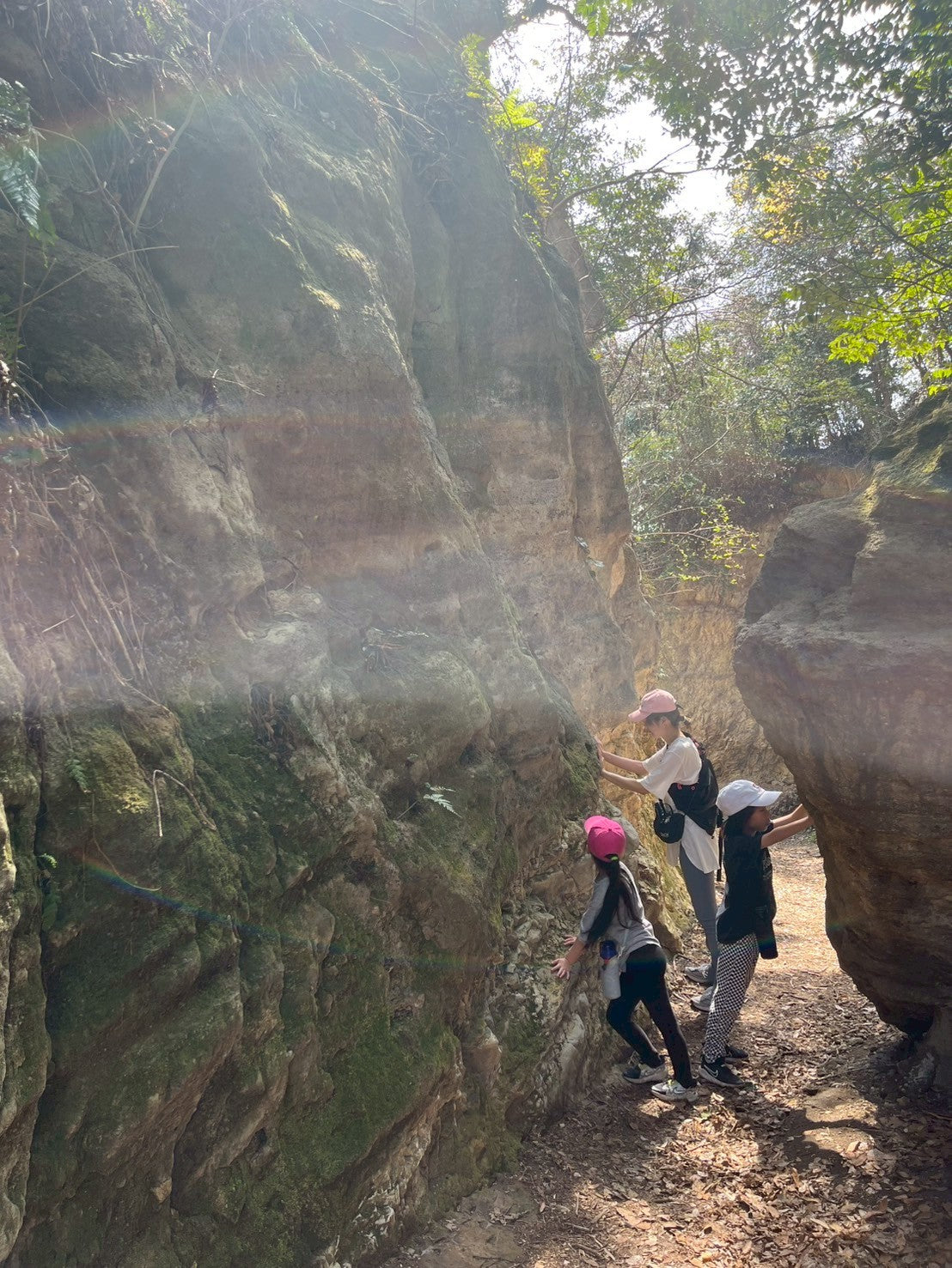 日本の都会で遊ぶ -鎌倉ネイチャーハイク-　 ︎対象年齢６歳以上
