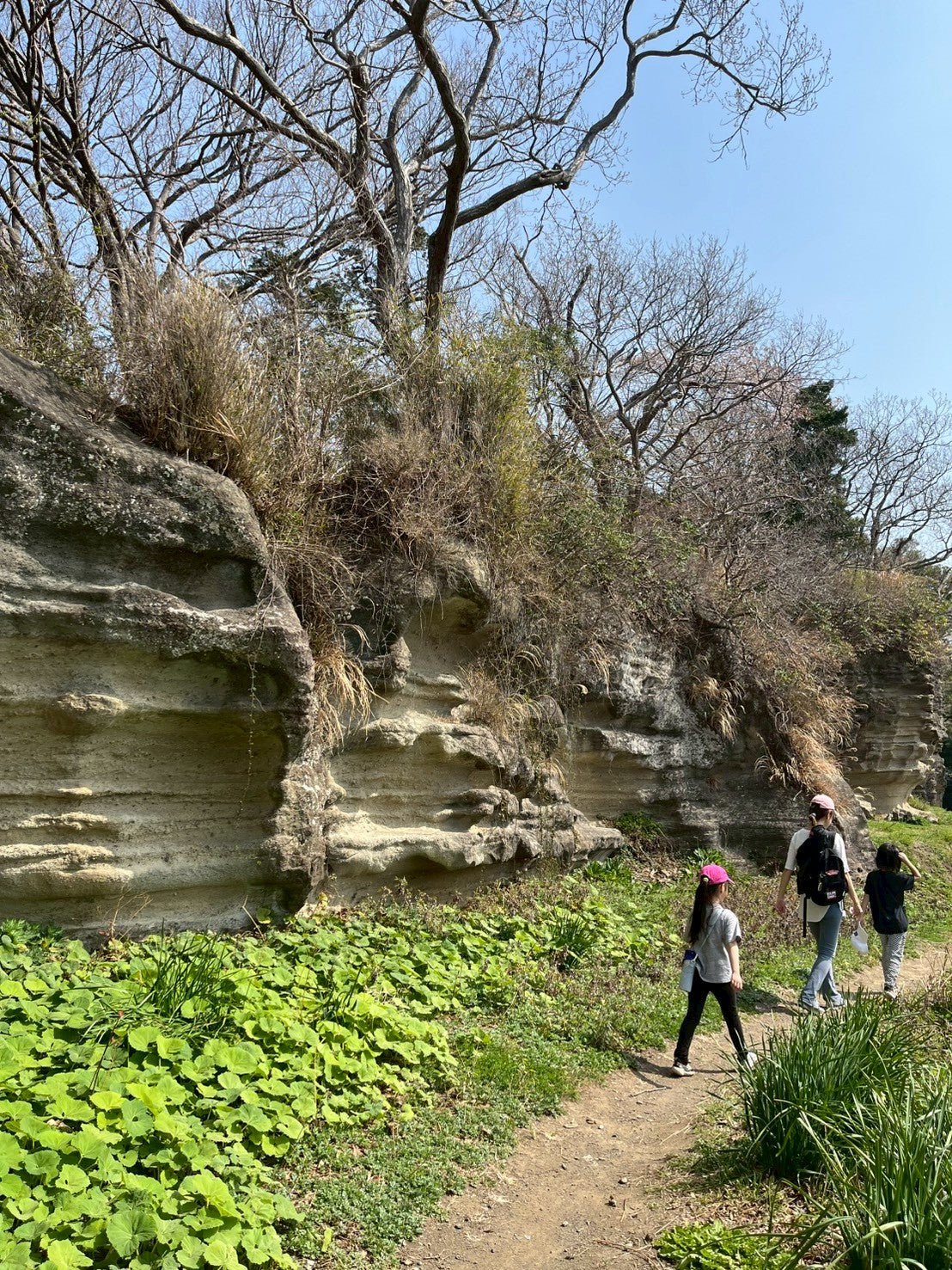 日本の都会で遊ぶ -鎌倉ネイチャーハイク-　 ︎対象年齢６歳以上
