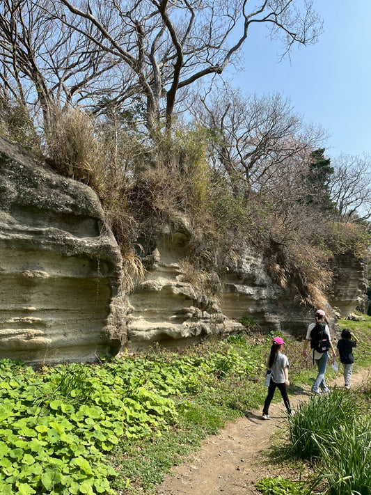 日本の都会で遊ぶ -鎌倉ネイチャーハイク-　 ︎対象年齢６歳以上